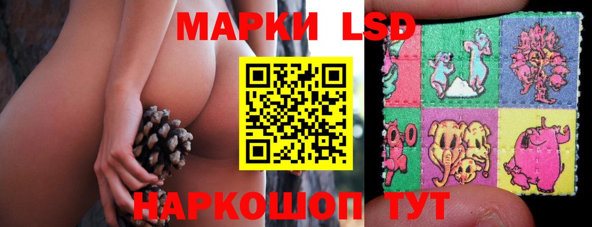 Зеленогорск  Лсд 25 экстази ecstasy  Лсд 25 экстази ecstasy  Вход с VPN 