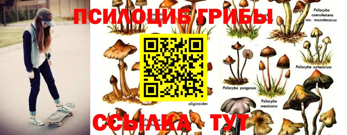 Псилоцибиновые грибы мухоморы  Вход с VPN  даркнет сайт  Зеленогорск 